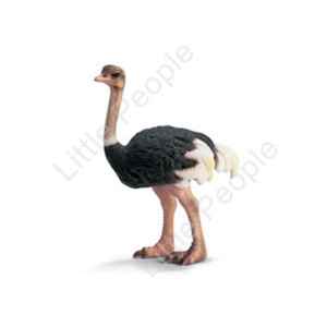 Schleich - Ostrich New Toy Figurine Retired