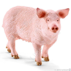 Schleich- Pig Standing Farm Life Animal