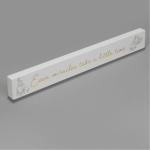 Disney Collectible Desk Plaque:cinderella