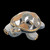 de rosa collections Galapago Turtle