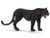 Schleich 14688 Black Panther - American Wildlife New - Retired