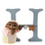Peter Rabbit Letters - Letter "H" with Mrs Tiggy Winkle