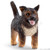 Schleich- German Shepherd puppy Animal Figurine