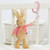 Beatrix Potter Jiggler: Flopsy Attachable Pink