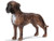Schleich - Boxer  Male (with Tag!) Figurine Figure Farm Animal Toy
