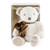 Organic Teddy Bear Fluffy Soft Toy - Gift Boxed - White