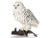 Schleich Bird - Snowy Owl 14671