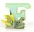 Child to Cherish Alphabet Letter F