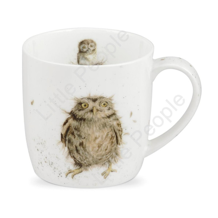 Royal Worcester Wrendale Designs What a Hoot Mug
