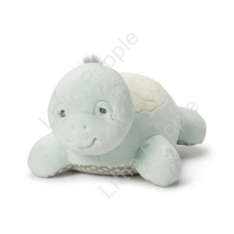 Plush Nat and Jules Turtle Gift Idea