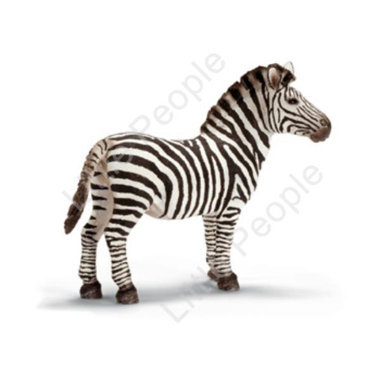 Schleich - Zebra male