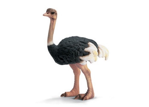 Schleich - Ostrich New Toy Figurine Retired