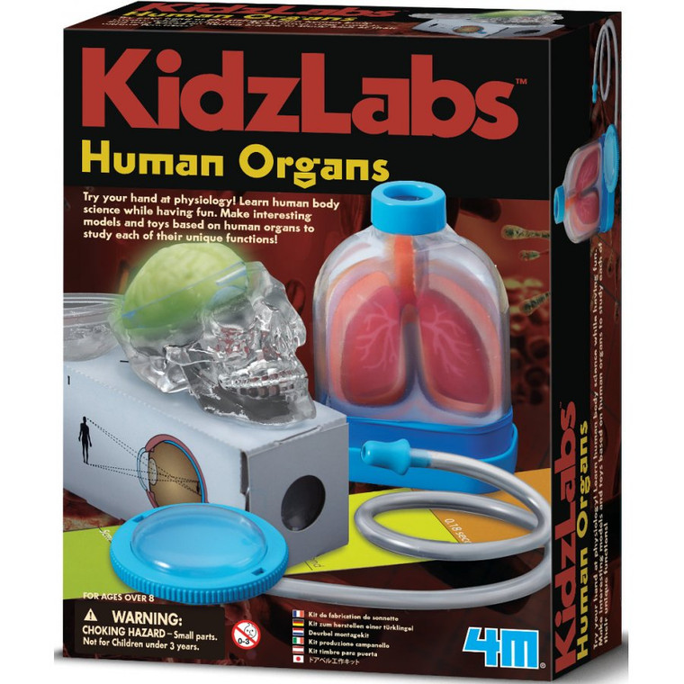 4M Kidz Labs Human Organs


SKU: FSG3917