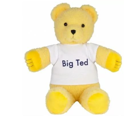 Play School Big Ted Plush Teddy Bear 40cm AP3002 Australian TV Classic Rare