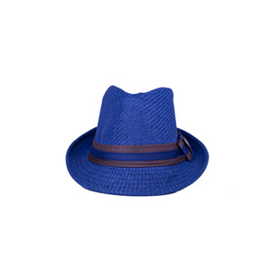 navy blue panama hat