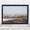 Mother A Cubs At The Seaside Polar-Bears Churchill Manitoba Wall Art Print