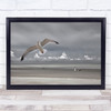 Seaside Mood Belgium Beach Bird Seagull Birds Coast Coastal Wall Art Print