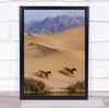Salvation Landscape Desert Horse Horses Run Running Gallop Wall Art Print