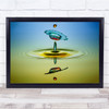 Ufw Unidentified Flying Water Drops Abstract Macro Droplet Wall Art Print