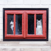 A Room With View Animal Animals Red Frame Cat Cats Window Wall Art Print