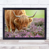 Highland In Heather Cow Cattle Bull Animal Lavender Field Wall Art Print