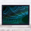 Spider's Web Abstract Spider Cobwebs Threads Close Sweden Wall Art Print