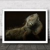 Iguana Profile Dragon Lizard Reptile Animals Animal Dark Wall Art Print Iguana Profile Dragon Lizard Reptile Animals Animal Dark Wall Art Print