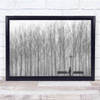 Relax Mood Fog Mist Bench Benches Street Lamp Light Park Wall Art Print