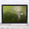 Shadows In The Green Macro Seed Soft Bokeh Flower Gentle Wall Art Print