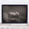 Lost On The Way Sheep Three Road Fog Morning Mist Haze Wall Art Print