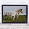 Motheraas Running Lesson Horse Horses Icelandic Animal Wall Art Print