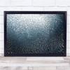 Sardines Firework School Pescador Moalboal Philippines Wall Art Print