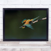 Take Off Bee-Eater Bird Take-Off Perch Po-Valley Italy Wall Art Print