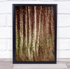 Birch Wood Trees Averbode Painterly Multipel Exposure Wall Art Print