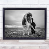 Stop Animal Animals Horse Horses Iceland Leg Out Cute Wall Art Print