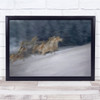 Winter Scene Horse Horses Run Running Snow Cold Slope Wall Art Print