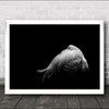 Beauty In Dark Flamingo Contrast Bird Animal Low Key Wall Art Print