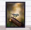 Great Tit Bird Log Yellow Birds Wild Wildlife Bokeh Wall Art Print