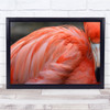 Flamingo Animal Animals Red Pink Bird Birds Love Wall Art Print