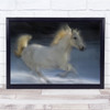 Lipicanka Blur Blurry Motion Horse Horses Animal Wall Art Print