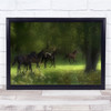 Running Horses Animal Sweden Horse Green Group Wall Art Print