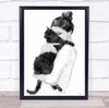 Cat Lover Pet Animal Illustration Watercolour Wall Art Print