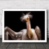 Pelican's Portrait Pelican White Black Lowkey Wall Art Print