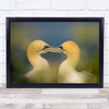 Fall In Love Two Yellow Birds Close Together Wall Art Print