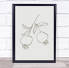 Pomegranate Green Fruit Illustration Studio Wall Art Print