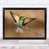 Bee Eater Majestic Triangular Spread Wings Wall Art Print