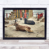 Dogs And Cows Relaxing Together By The Sea Wall Art Print