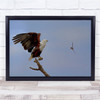 Eagle Perched At Top Of Branch Flying Bird Wall Art Print