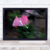 Roseate Spoonbill In Motion Birds Wildlife Wall Art Print