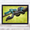 Black And Blue Entangled Snakes On Branch Wall Art Print